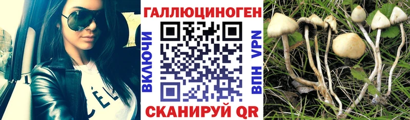 блэк спрут ССЫЛКА  Звенигород  Галлюциногенные грибы Psilocybe  купить  цена 