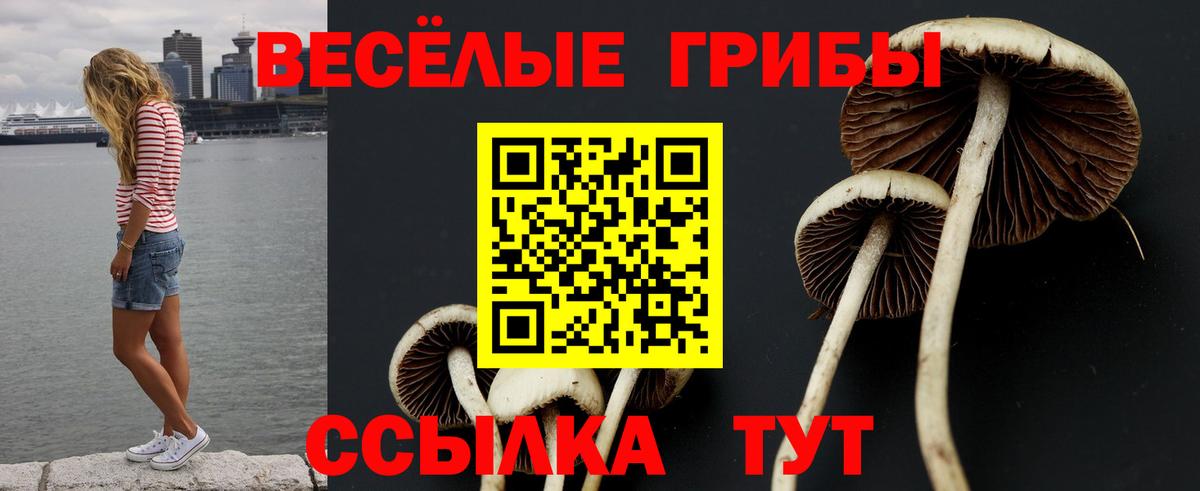Псилоцибиновые грибы ЛСД  Вход с VPN  наркота  Звенигород  Псилоцибиновые грибы ЛСД 