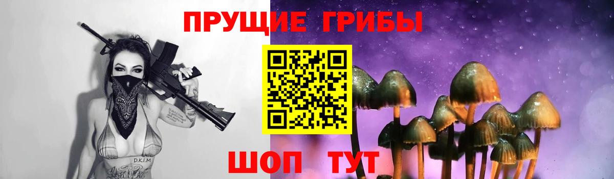 Галлюциногенные грибы Psilocybe Звенигород